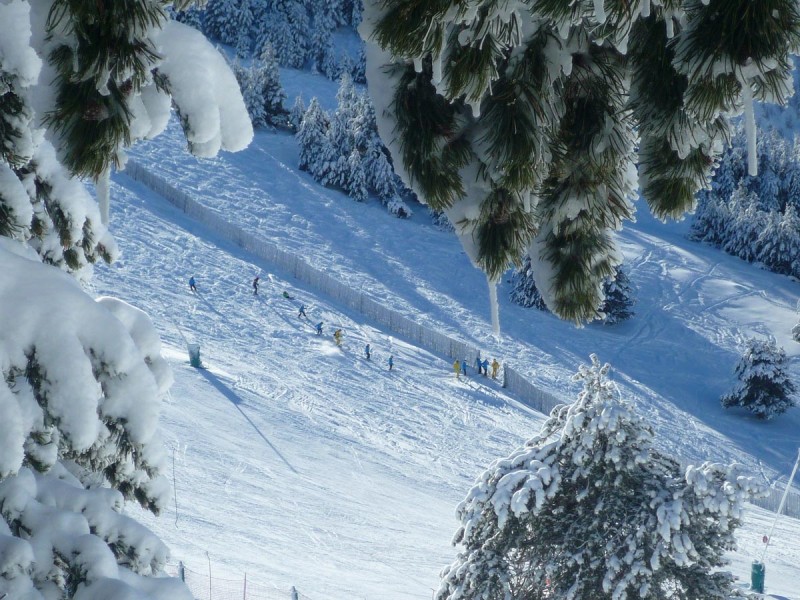 Masella anuncia previsión de buen tiempo y nieve excelente para este fin de semana