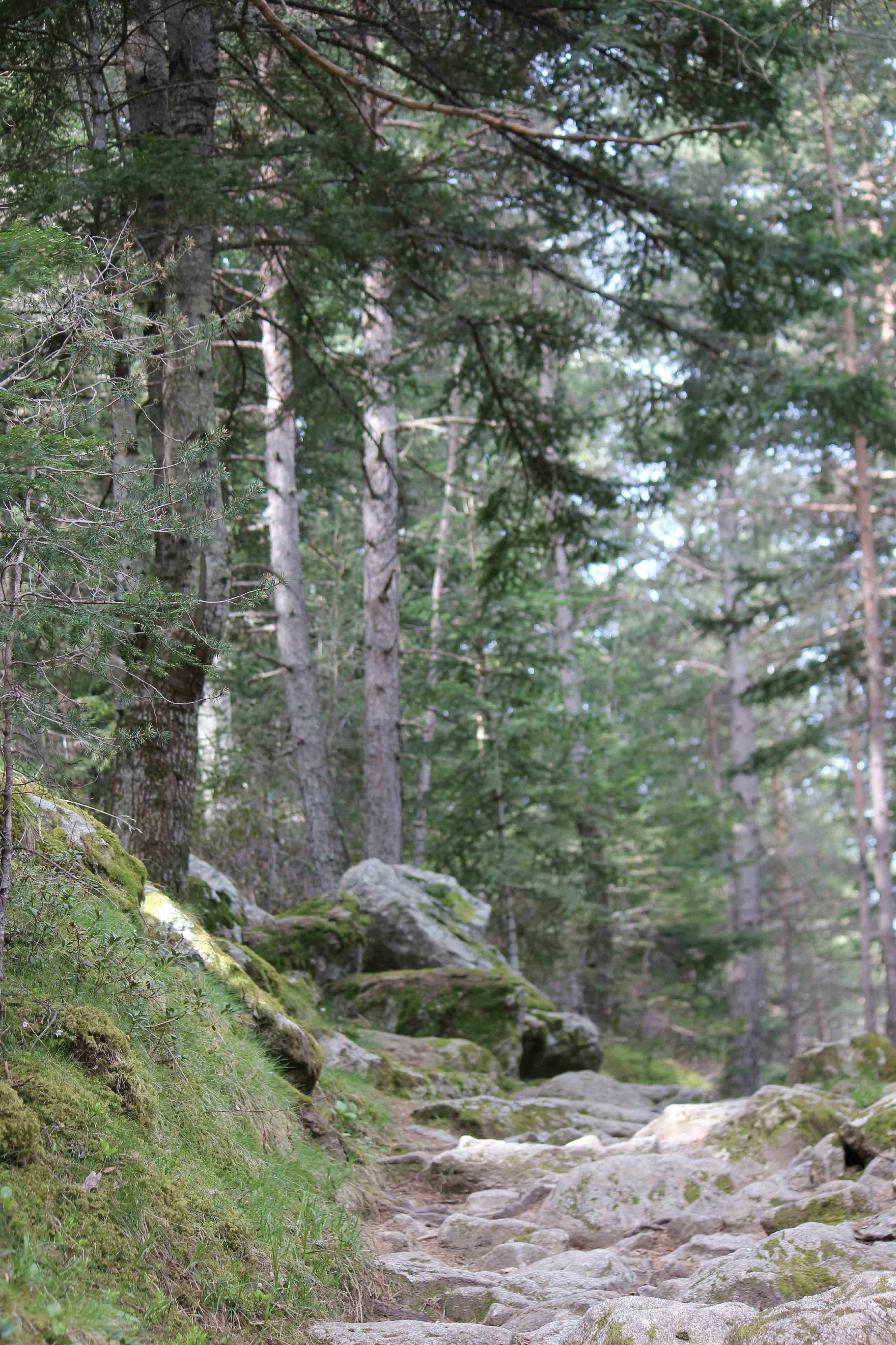 cami-matxos-escaldes-andorra