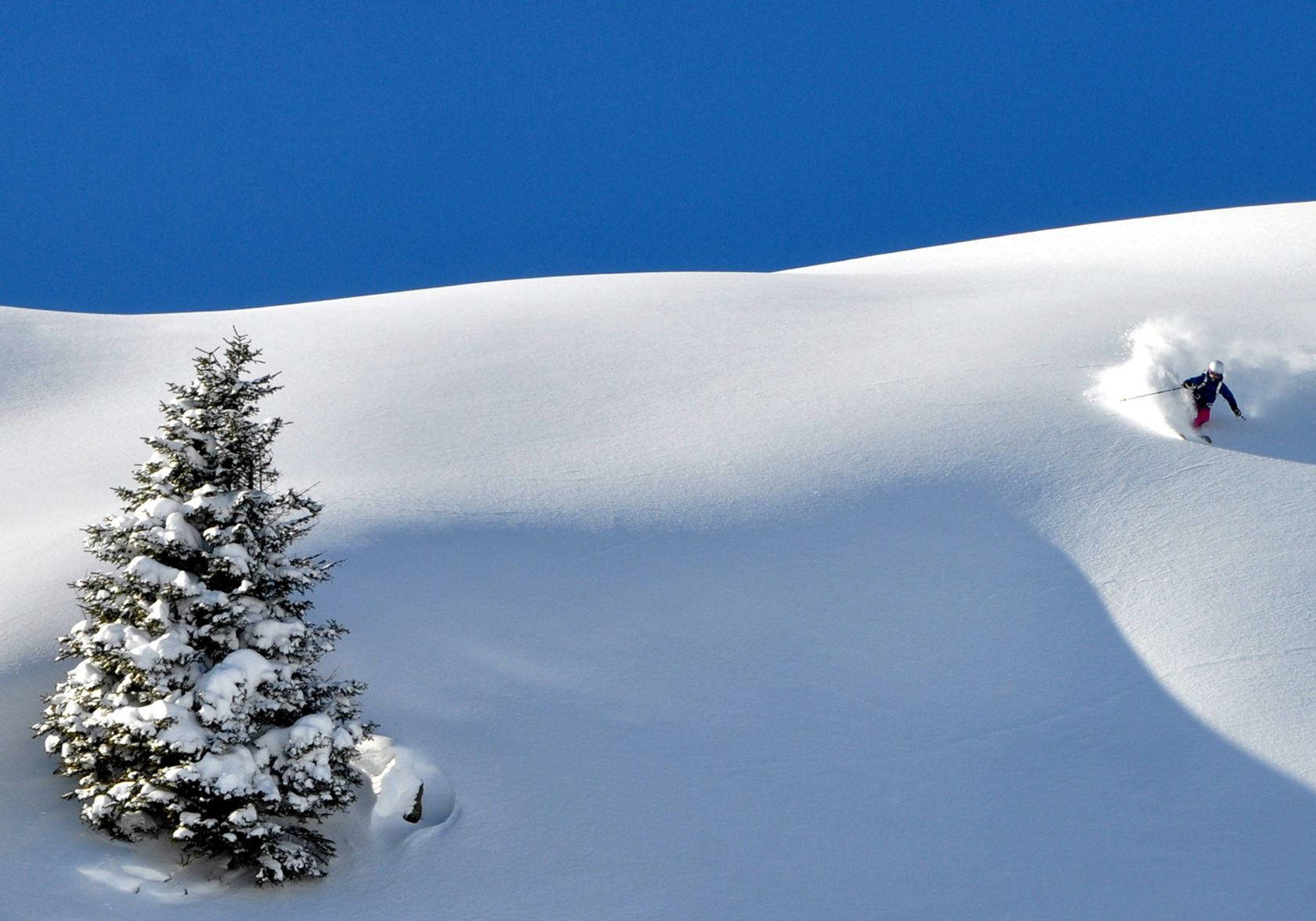 Ski Freeride Saalbach