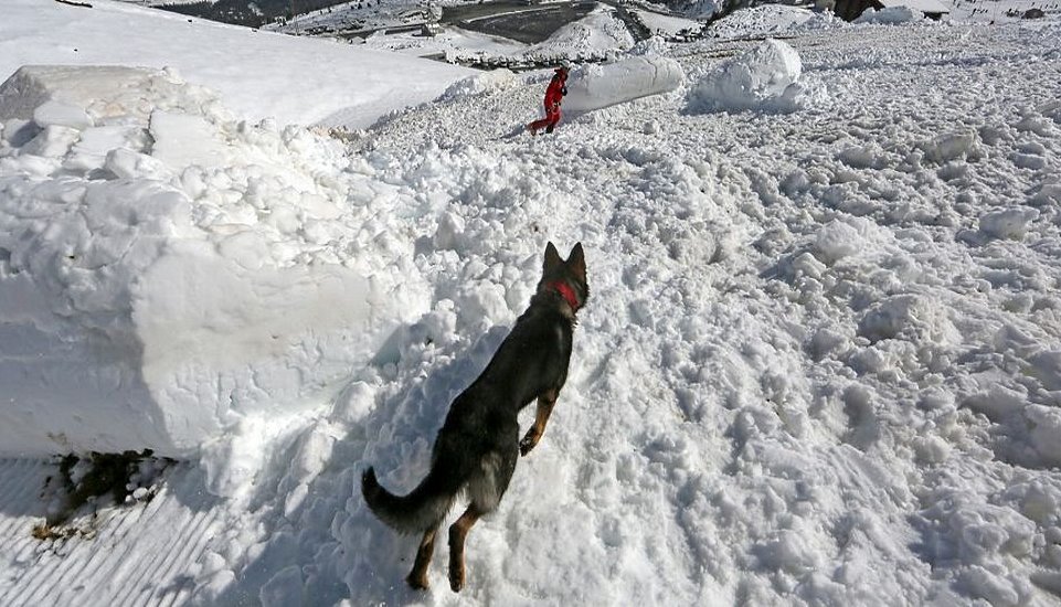 Milagro en La Plagne. Rescatan a un niño que se pasó 40 minutos sepultado por una avalancha