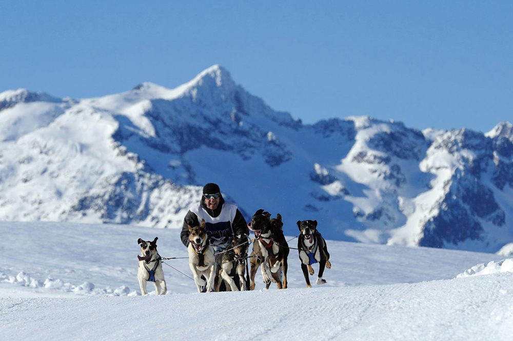 Más de 150 inscritos para el Campeonato de España de Mushing Nieve