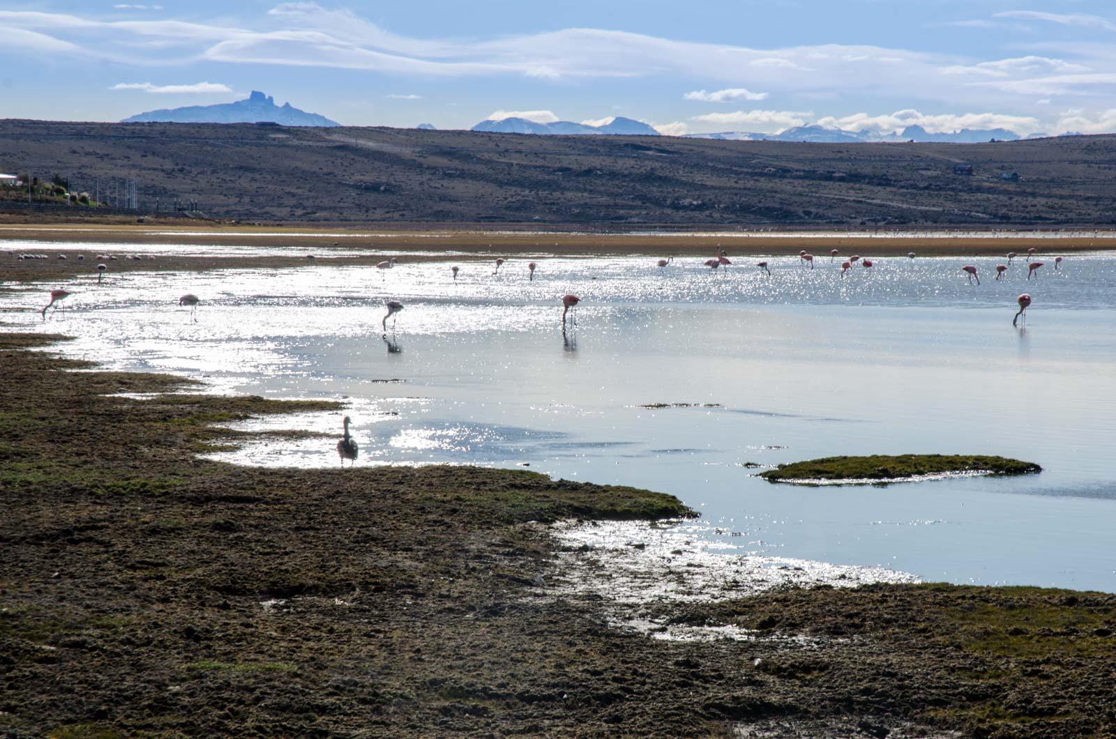 Lago Argentino