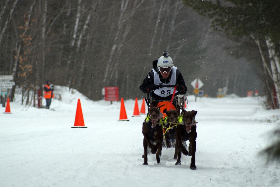 Mushing, alpino, nórdico y snowboard, la actividad internacional en competición de RFEDI no cesa