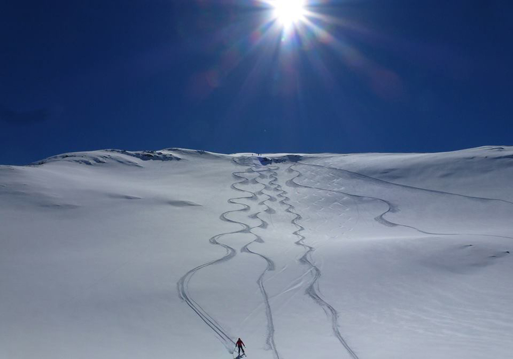 La nieve primavera, un delicioso manjar para los paladares más exquisitos