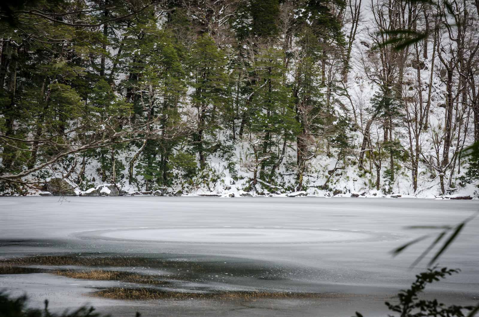 ice circles en huerquehue