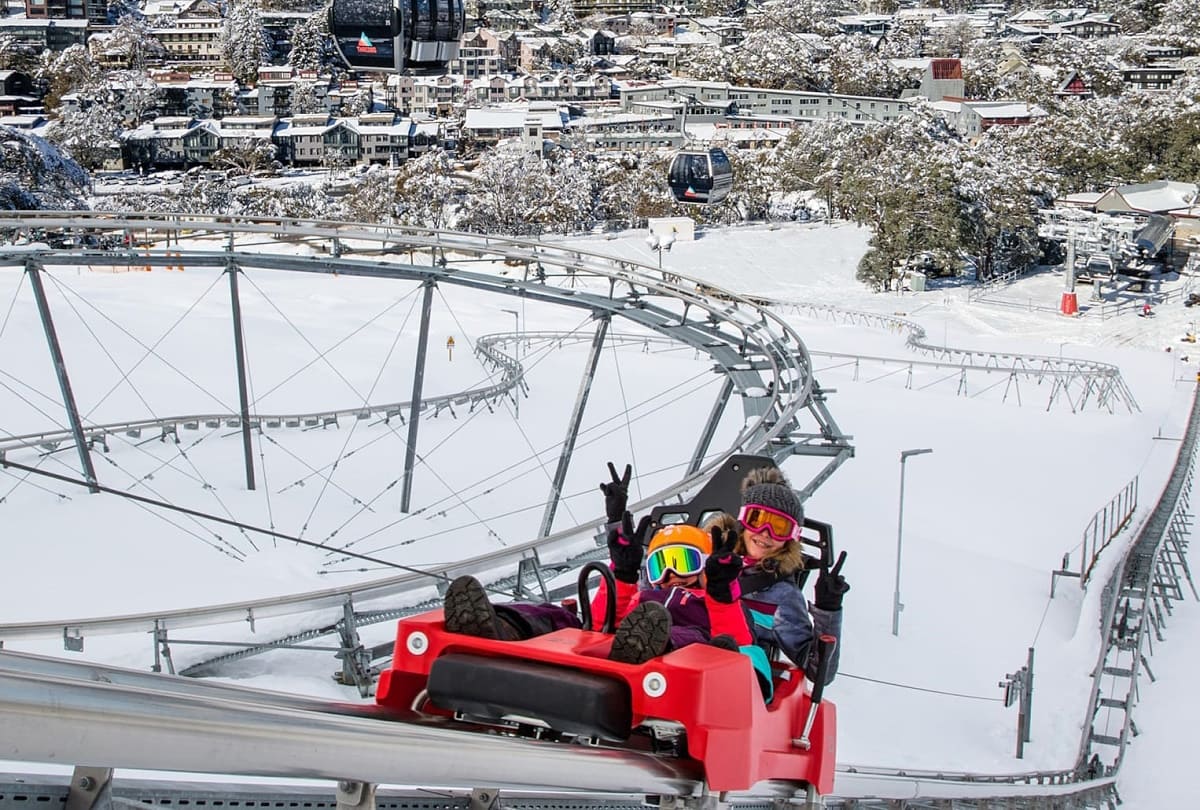 Thredbo (Australia) tendrá una montaña rusa alpina durante todo el año