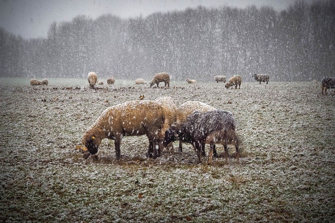 20 señales para que puedas predecir la nieve en invierno sin depender de la tecnología