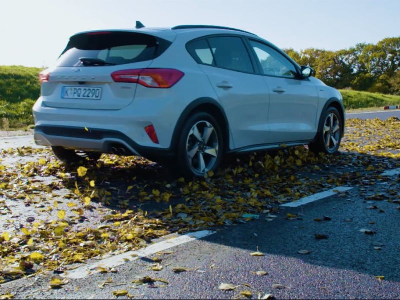 ¿Qué resbala más la nieve o las hojas de otoño?