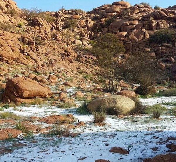 Nieva en el Monte Radwa de Arabia Saudí por primera vez en 25 años