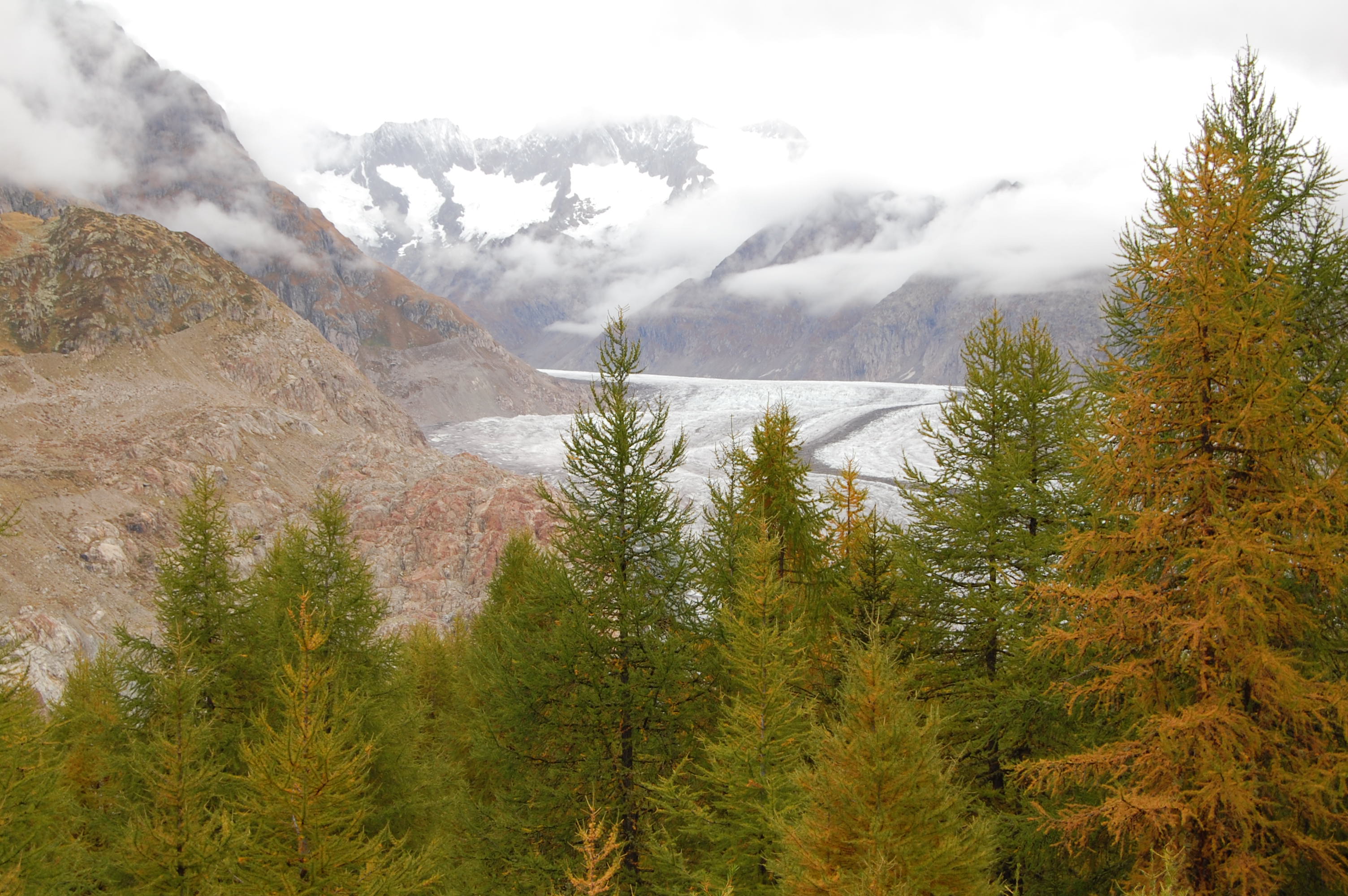 Aletsgletscher en Otoño. Se observa que los árboles cambian de color