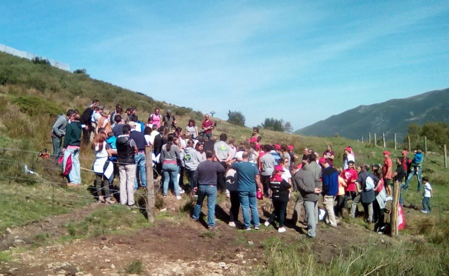 Un Pajares más verde y reforestado, encomiable iniciativa de los clubes esquí