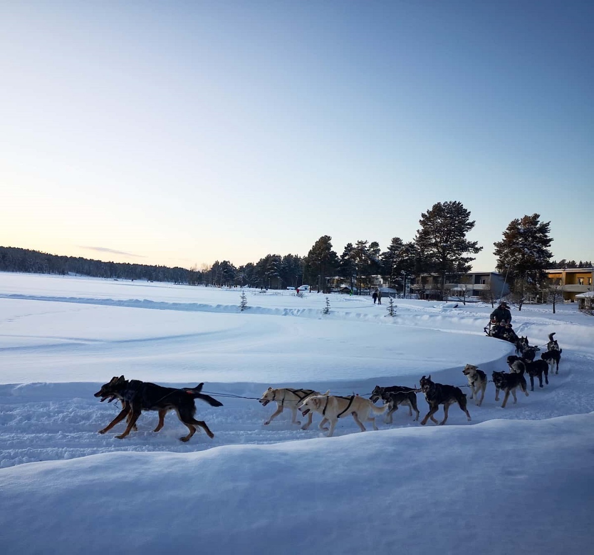 Mientras los trineos con perros se quedan sin clientes, aumenta el esquí en las estaciones de Finlandia