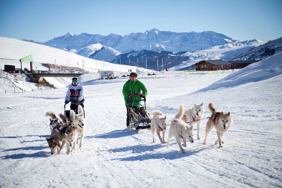 Trineos tirados por perros en Portalet Park