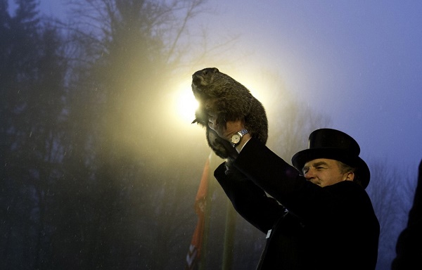 La Marmota Phil precice cada 2 de febrero la llegada de la primavera