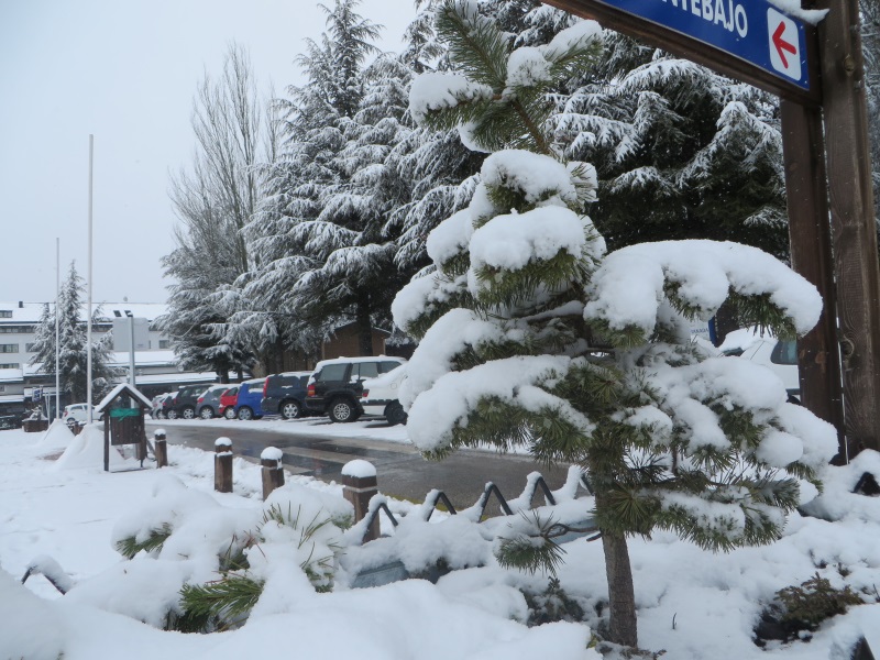 Sierra Nevada se prepara para un intenso fin de semana con nieve polvo