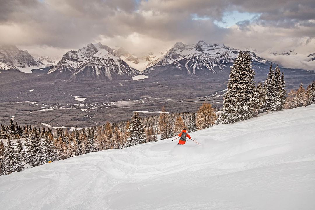 Lake Louise reducirá un 30% su área esquiable para proteger la vida silvestre