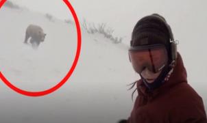 Una snowboarder a punto de ser el almuerzo de un oso en una pista de esquí