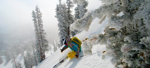 Ski Utah: Alta, Brigthon, Snowbird y Solitude