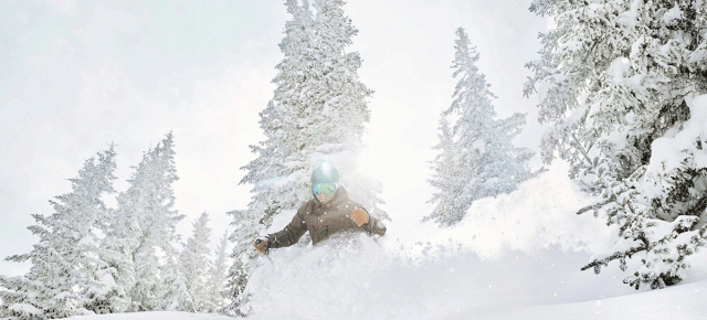 Vail Mountain Haus