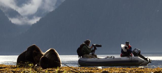 Avistamiento de osos Spirit y Grizzlies en Spirit Bear Lodge