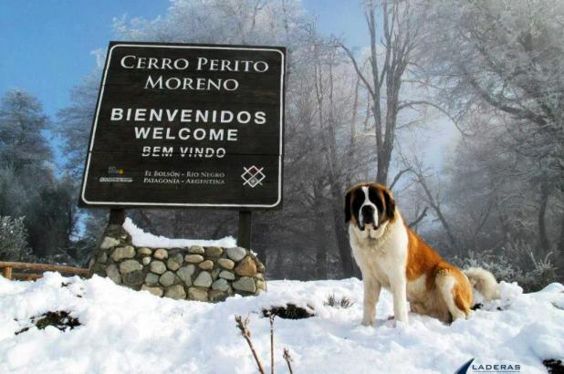 Argentina Rio negro Cerro Perito Moreno