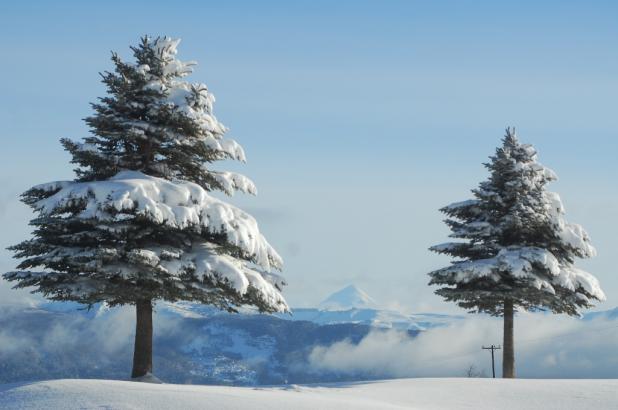 Imagen de la estación argentina de Chapelco Ski Resort 