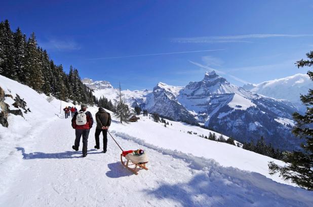 Imagen de Engelberg/brunni