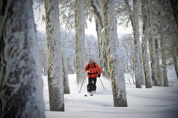 Cerro Chapelco