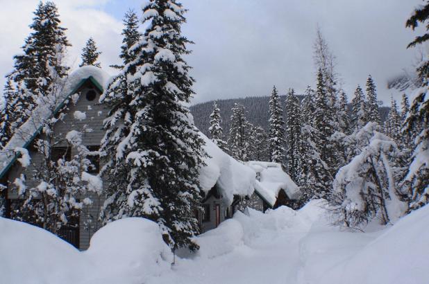 Foto de Emerald Lake, BC, Canada