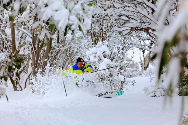 Fabulosa imagen de Falls Creek, año 2013 esquí Völkl Gotama