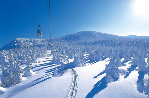 Paisaje nevado en Furano