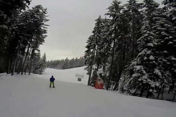 Esquiando entre los bosques de La Berra