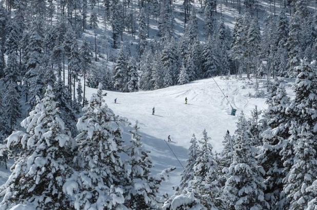 Vista de la estación de Masella en el Pirineo catalán, entre bosques