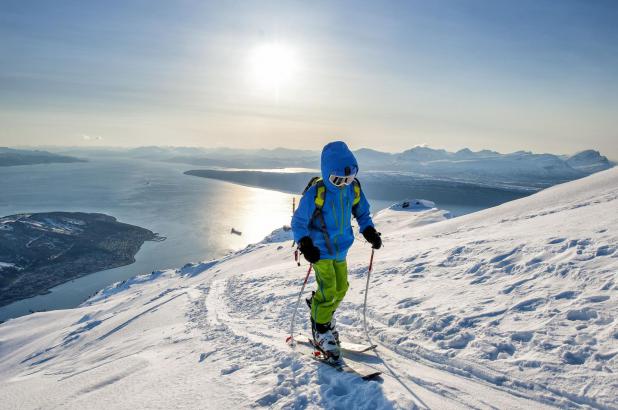 Narvikfjellet