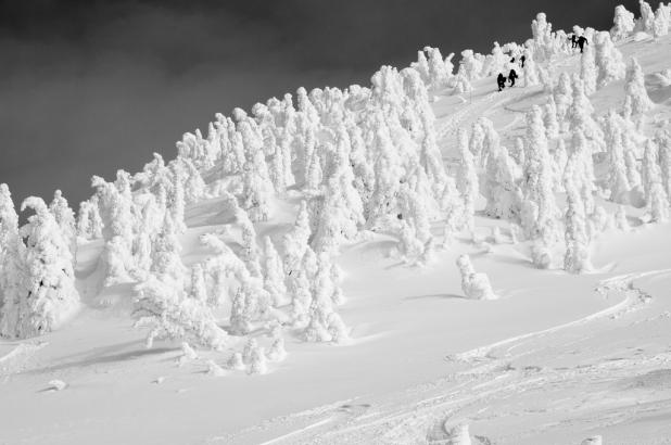 Revelstoke en blanco y negro