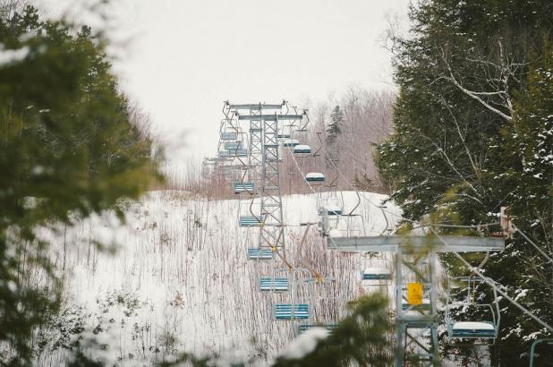 Telesilla en Tenney Mountain