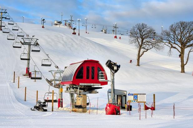 Telesilla en Wilmot Mountain