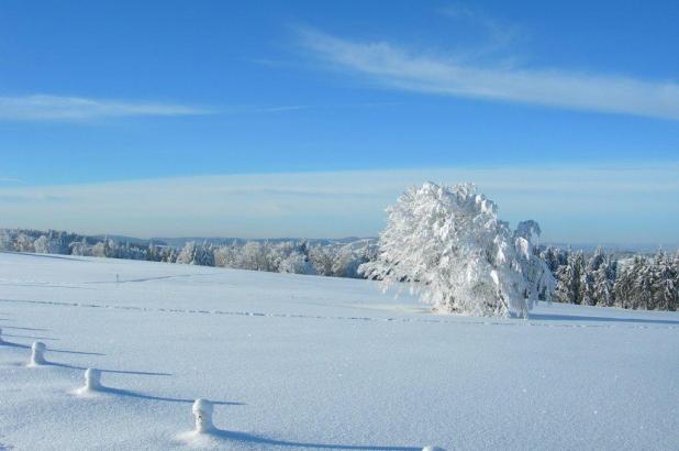 Bonita imagen de los Hautes Vosgos