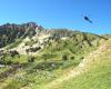 Nuevas protecciones antialudes en la red viaria del Valle de Arán y el Pallars Sobirà