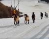 Espectacular vídeo de unos caballos trotando por la pista de El Río de Sierra Nevada