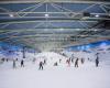 Madrid SnowZone es adquirida por el operador británico Snozone Holdings Ltd