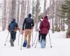 La raqueta para desplazarse seguro y cómodo por la nieve está en Decathlon