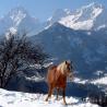 Panorámica de Hinterstoder en Oberösterreich