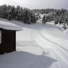 Aspecto de la zona de Estivella en Port del Comte después de la nevada del 20 de enero del 2013