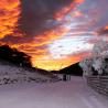 Thredbo Resort