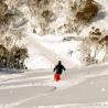 Australia›Nueva Gales del Sur›Thredbo