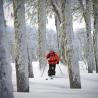 Cerro Chapelco