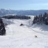 Foto de SnowJapan esquiando en Chateau Shiozawa