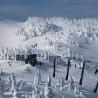 Paisaje nevado en Eaglecrest