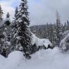 Foto de Emerald Lake, BC, Canada